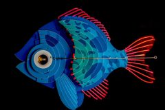 fish-blue-5-scaled