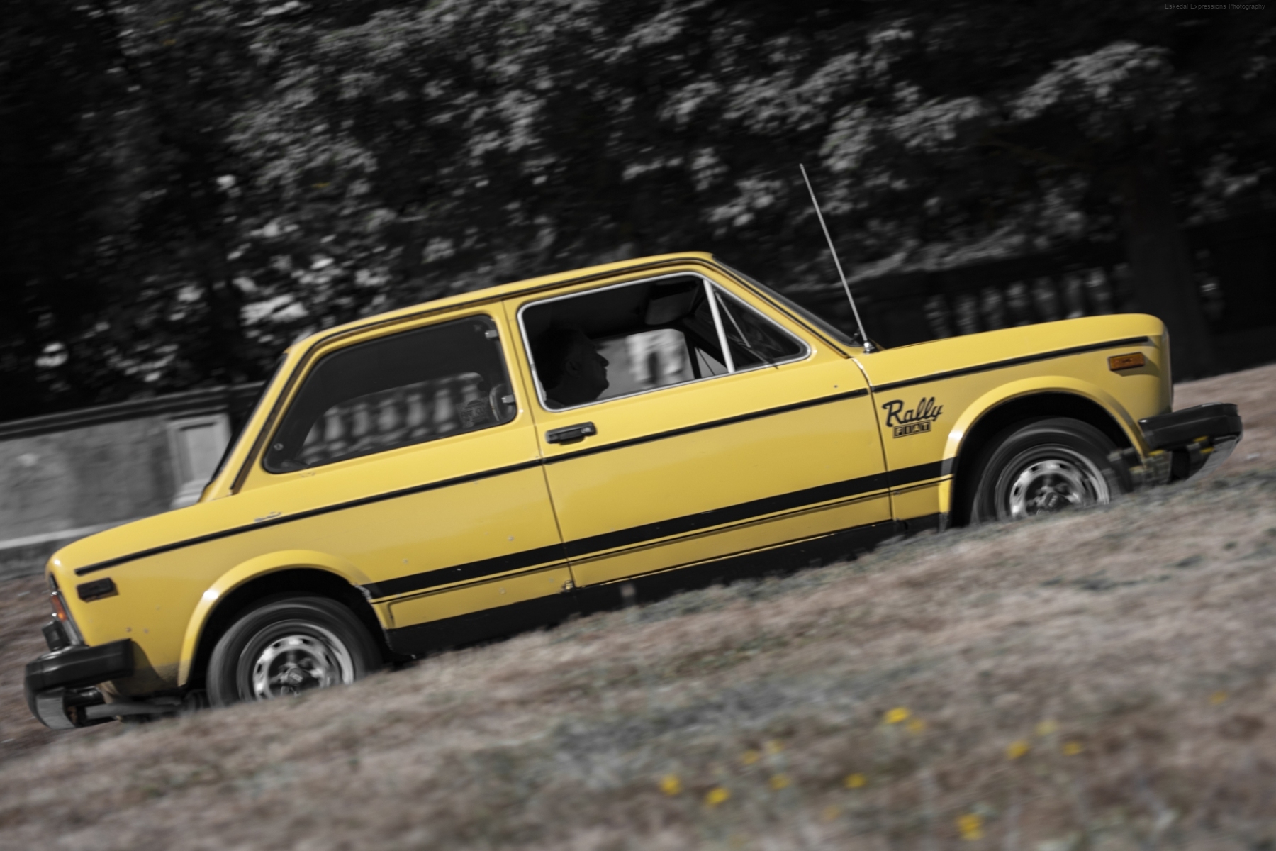 Fiat Rally