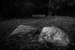 Two Rocks and a Bench