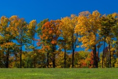 Vermont Foliage