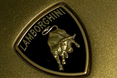 Lamborghini Bull
