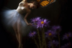1_final-dance-butterfly_