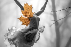 dance-falling-leaf-gold_