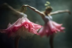 dance-flower-pinke