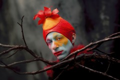 clown-836