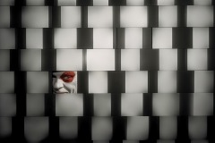 clown-port-221-grid-3_