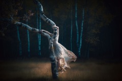 1_dancer-woman-tree_