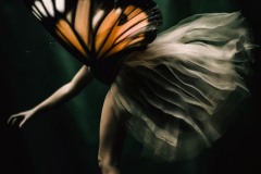 dance-butterfly-legs