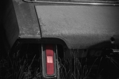 Red Taillight