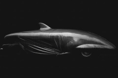 junkyuard-cetaceans-42